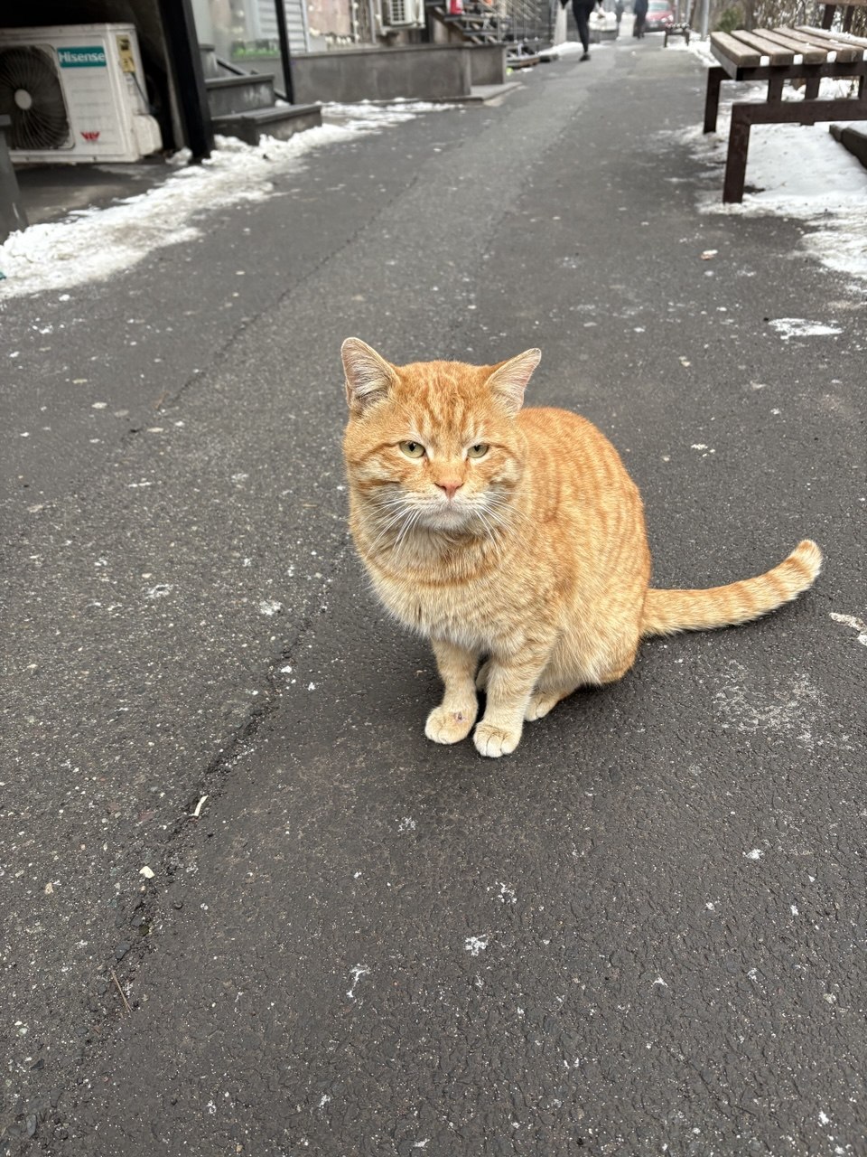 Richik